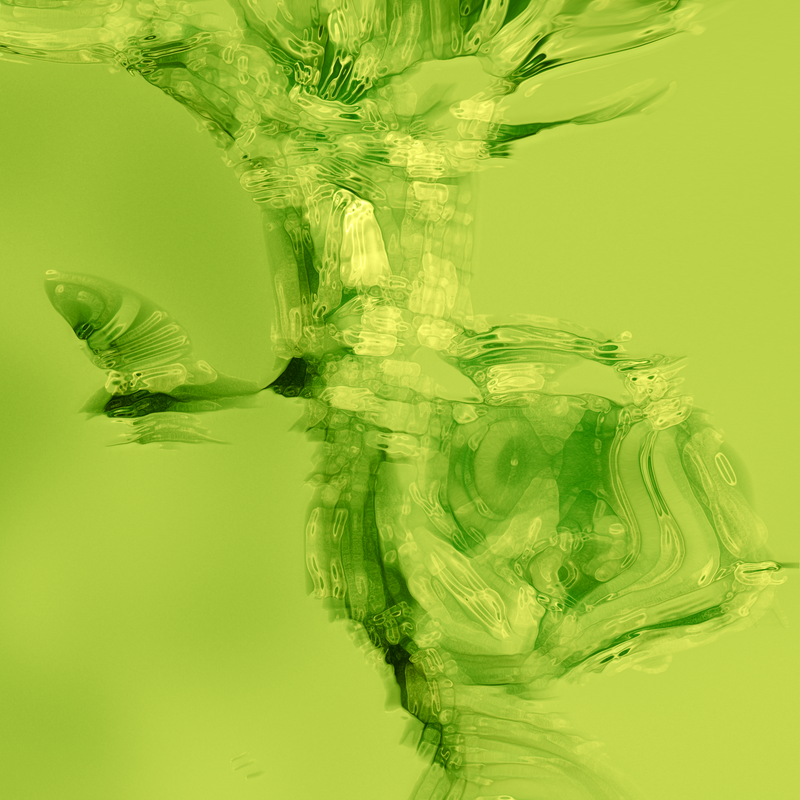 Bio-Futures: The Alchemy of Unconventional Textile