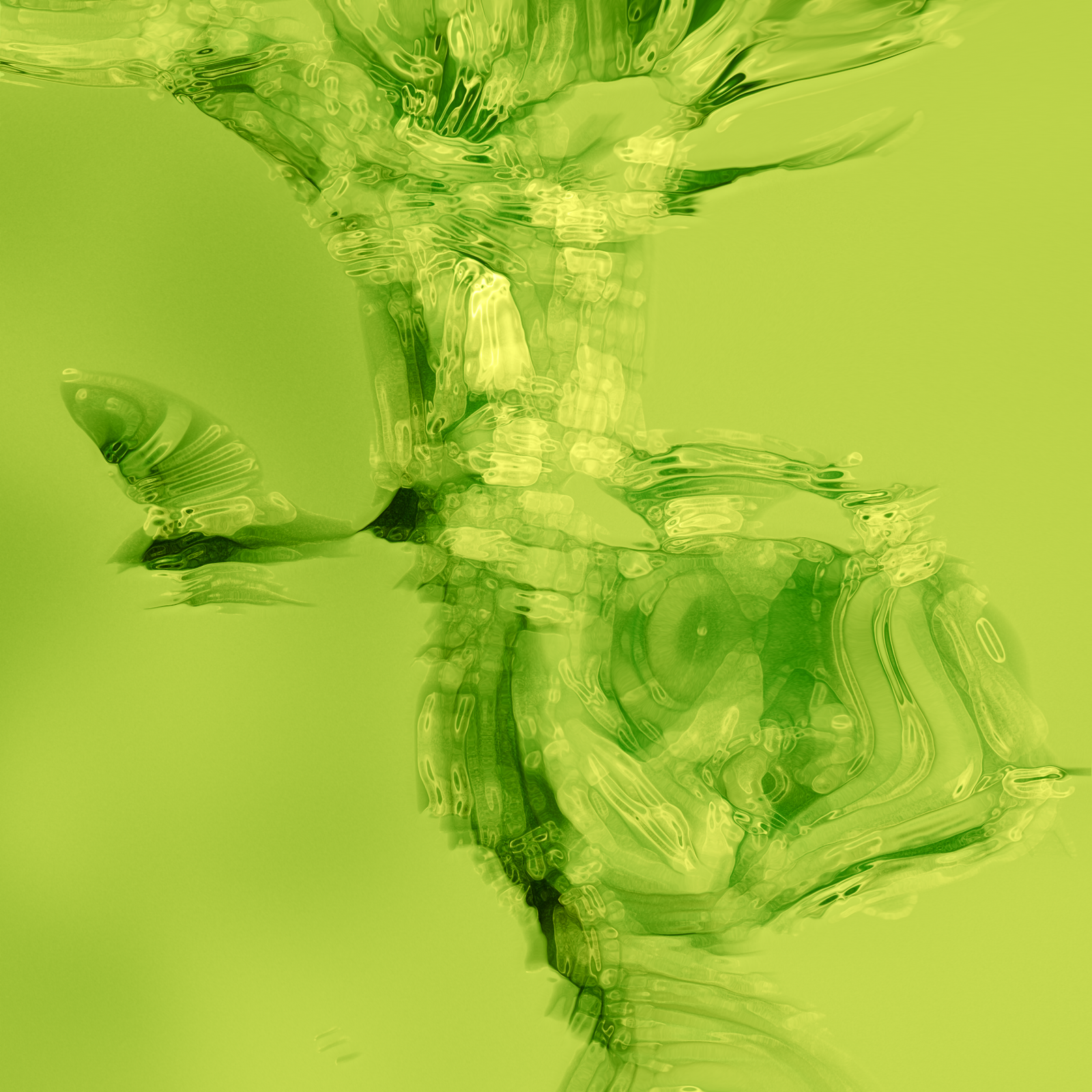 Bio-Futures: The Alchemy of Unconventional Textile