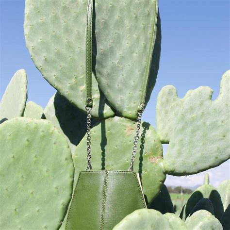 A vegan leather made from cactus plants - Desserto